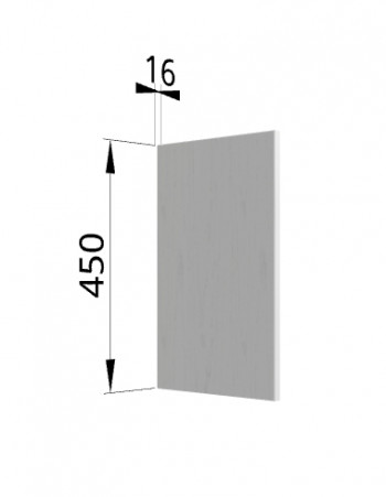 Панель торцевая (для шкафа горизонтального высокого) ВПГ Ройс (Графит софт) в Плотниково - plotnikovo.mebel54.com | фото